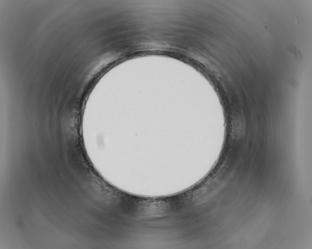 X0000112051314200909010934