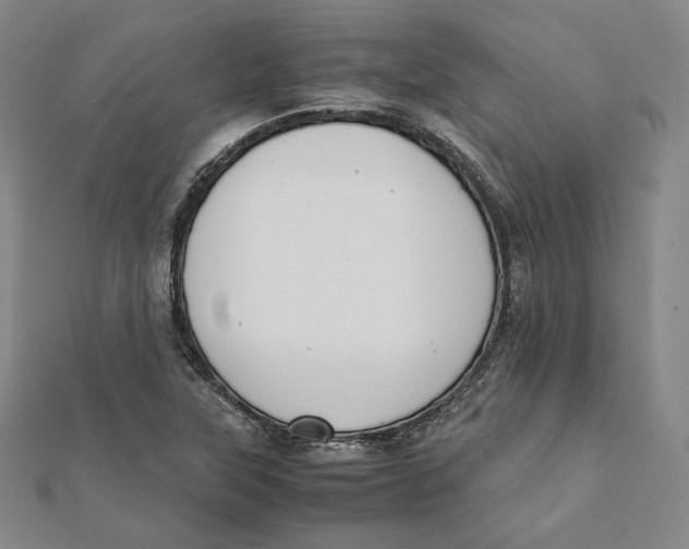 X0000112051315200909010934