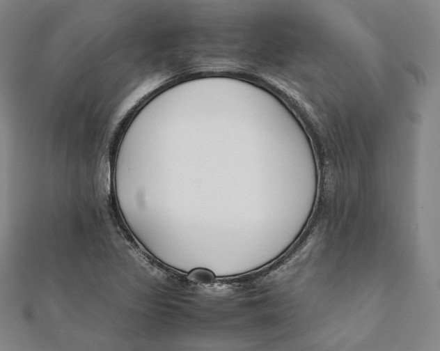 X0000112051317200909010934