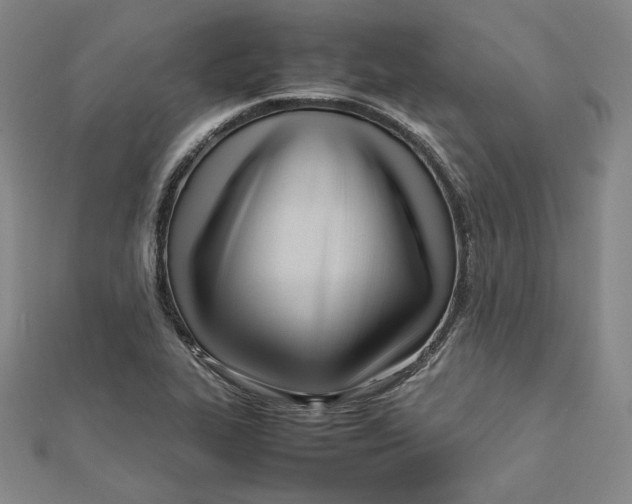X0000112051319200909010934