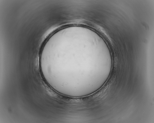 X0000112051320200909010934
