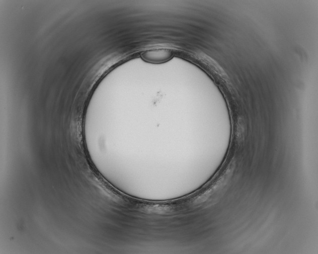 X0000112051321200909010934