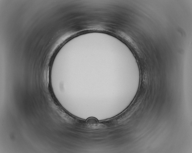 X0000112051323200909010934