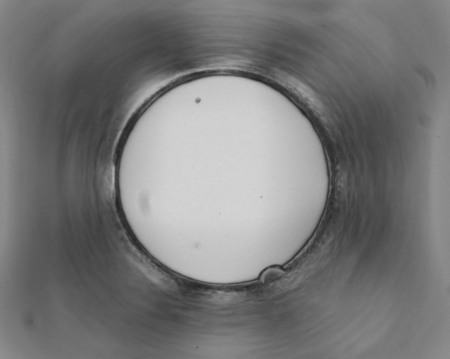 X0000112051324200909010934