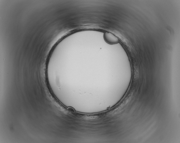 X0000112051325200909010934