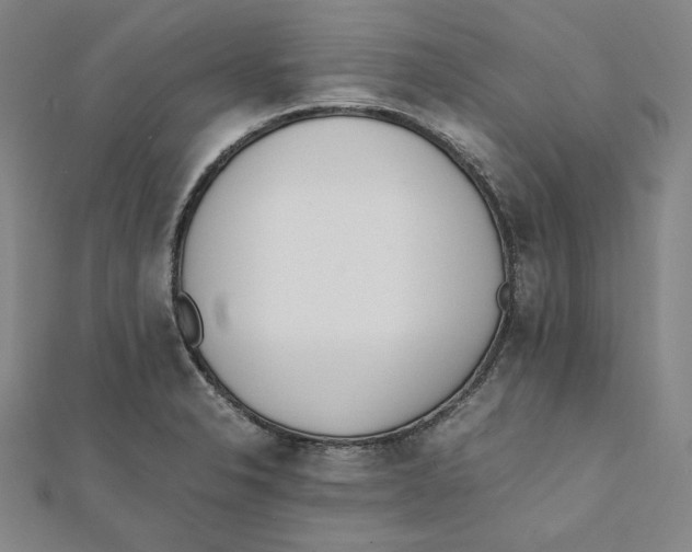 X0000112051326200909010934