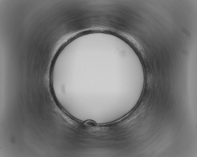 X0000112051327200909010934