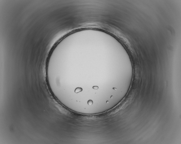 X0000112051328200909010934