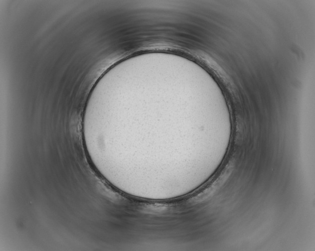 X0000112051329200909010934