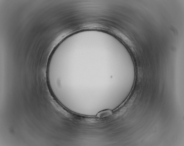 X0000112051330200909010934