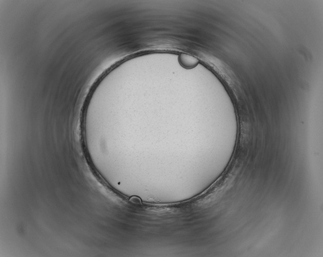 X0000112051331200909010934