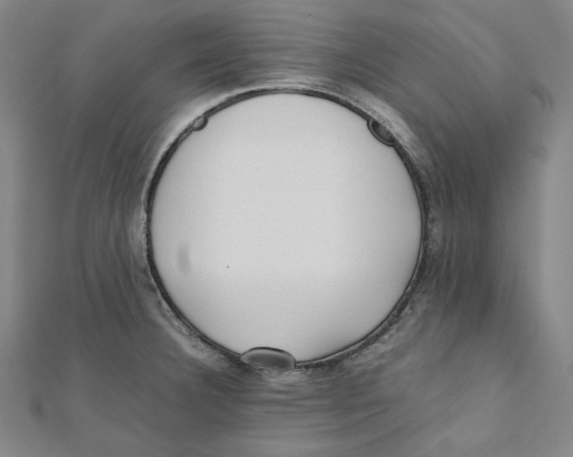 X0000112051332200909010934