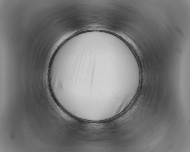 X0000112051333200909010934