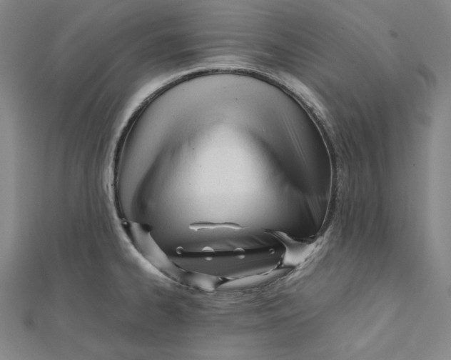 X0000112051334200909010934