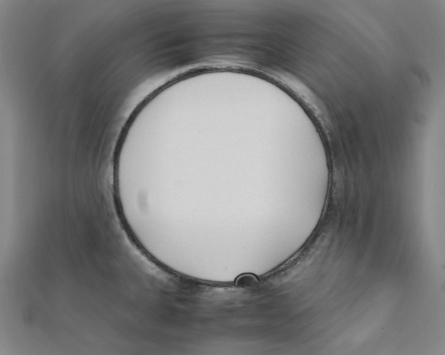 X0000112051335200909010934