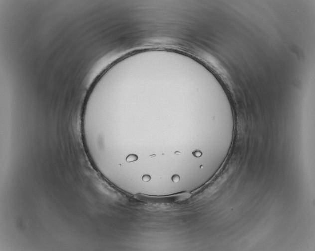 X0000112051336200909010934