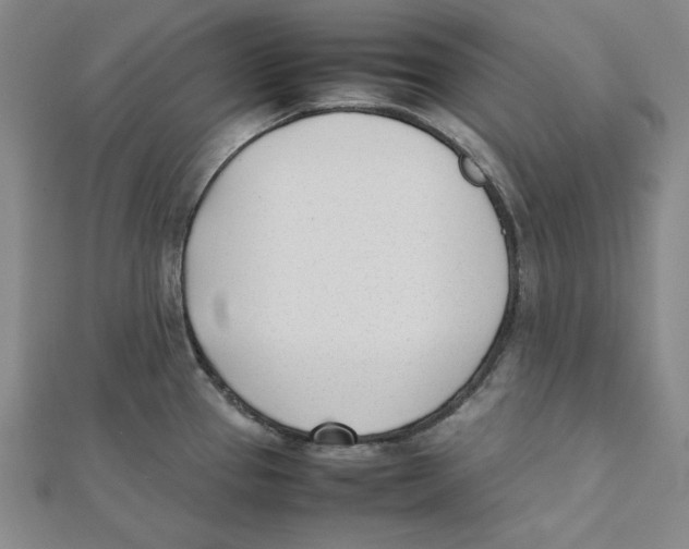 X0000112051337200909010934