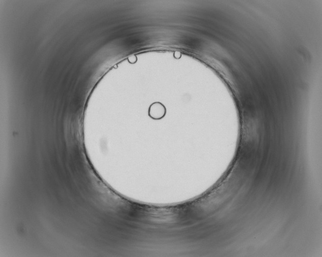 X0000112051338200909010934