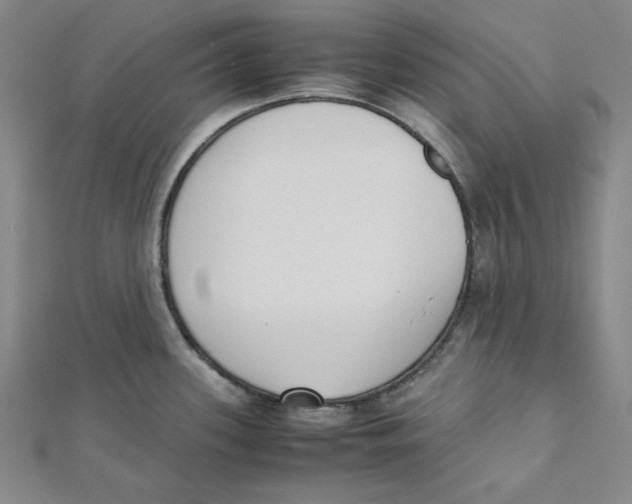 X0000112051339200909010934