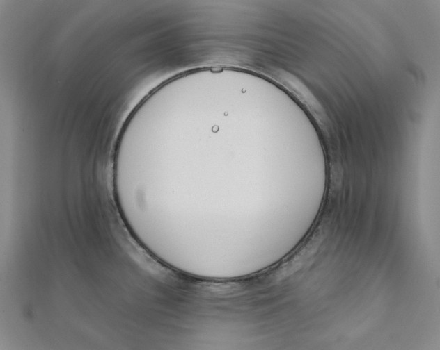 X0000112051340200909010934