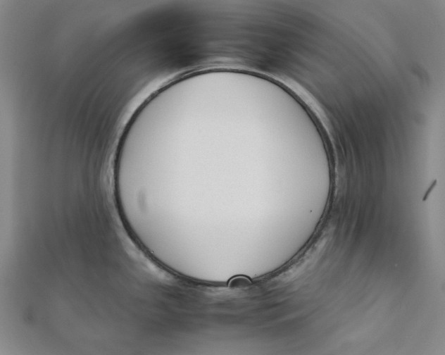 X0000112051341200909010934