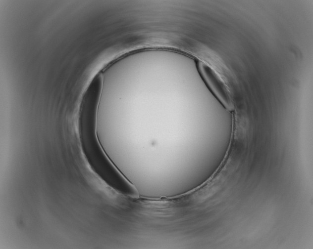X0000112051342200909010934