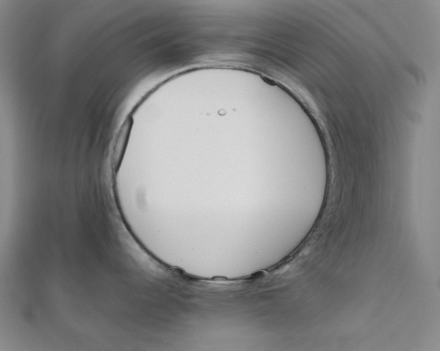 X0000112051344200909010934