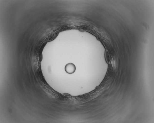 X0000112051348200909010934