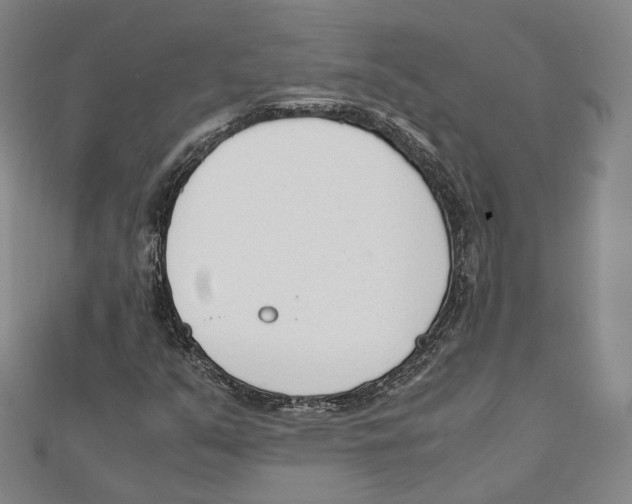 X0000112051351200909010934