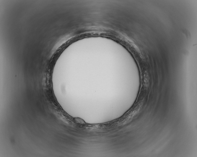 X0000112051352200909010934