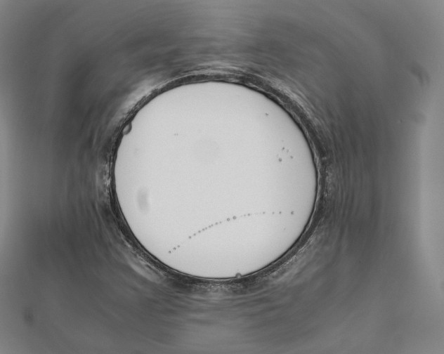 X0000112051355200909010934