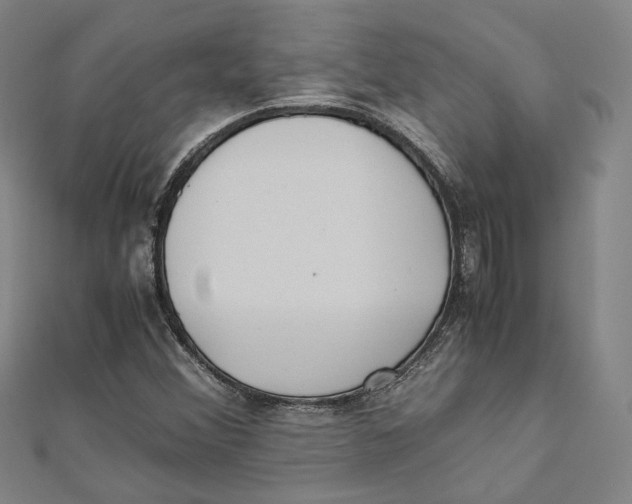 X0000112051356200909010934