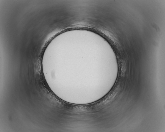 X0000112051358200909010934