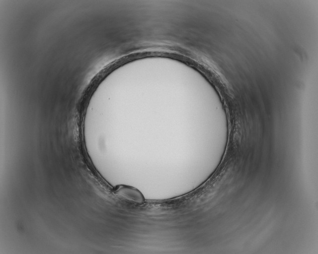 X0000112051360200909010934