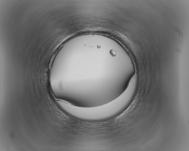 X0000112051361200909010934