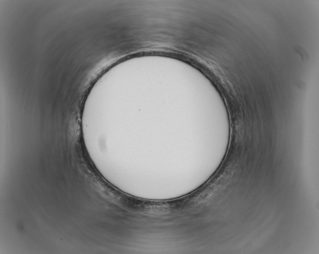 X0000112051363200909010934