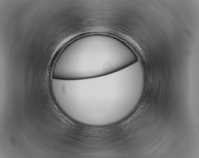 X0000112051364200909010934