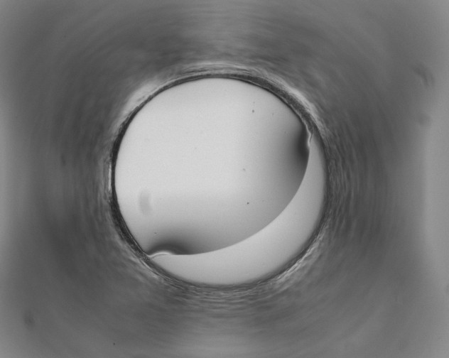 X0000112051365200909010934