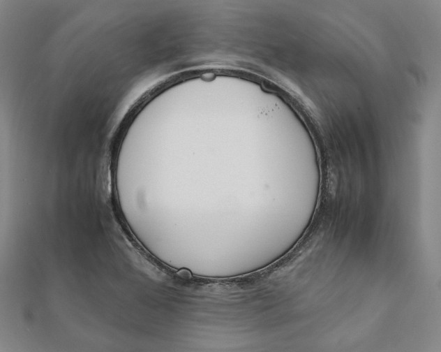 X0000112051368200909010934
