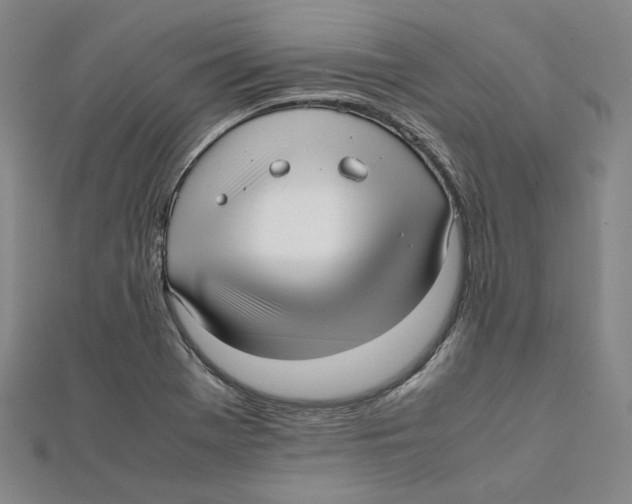 X0000112051369200909010934