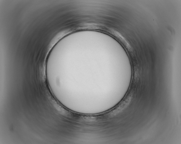 X0000112051370200909010934