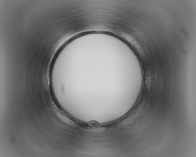 X0000112051372200909010934