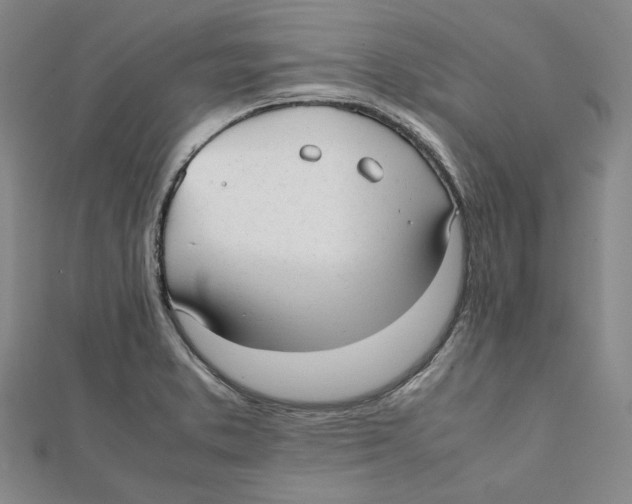 X0000112051373200909010934