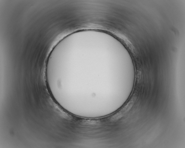 X0000112051374200909010933