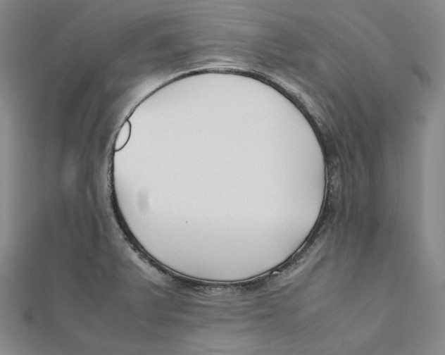 X0000112051375200909010933