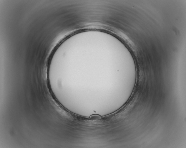 X0000112051376200909010933