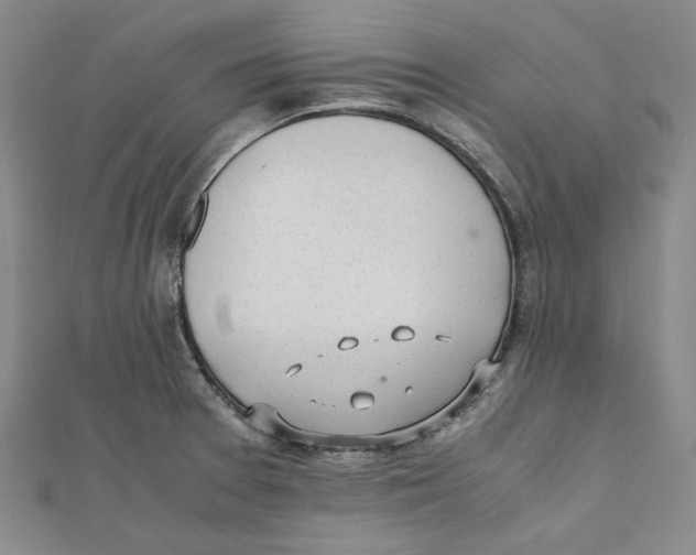 X0000112051377200909010933