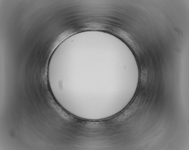 X0000112051378200909010933