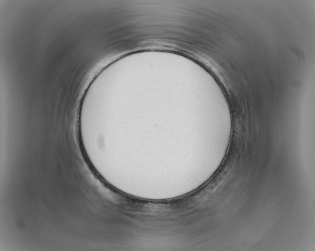 X0000112051379200909010933