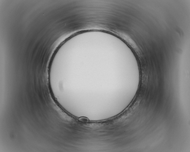 X0000112051380200909010933